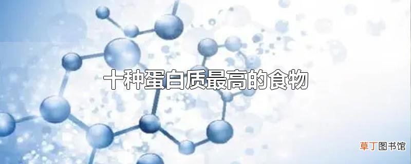 十种蛋白质最高的食物