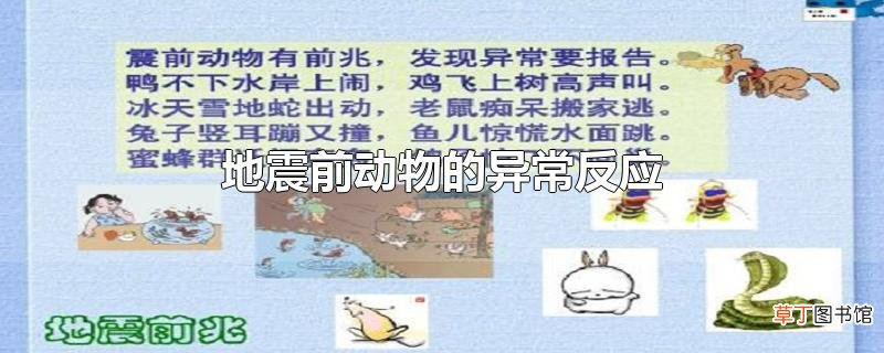 地震前动物的异常反应