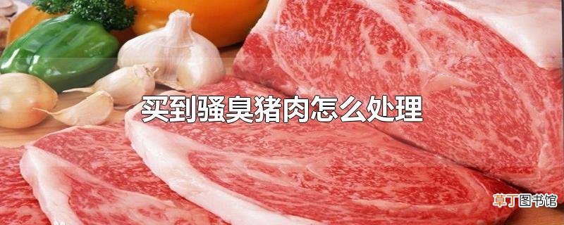 买到骚臭猪肉怎么处理
