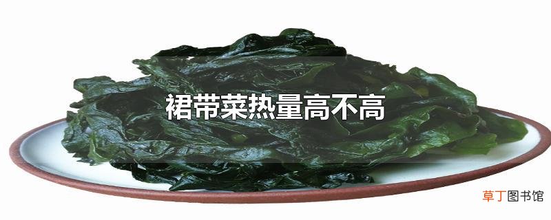 裙带菜热量高不高