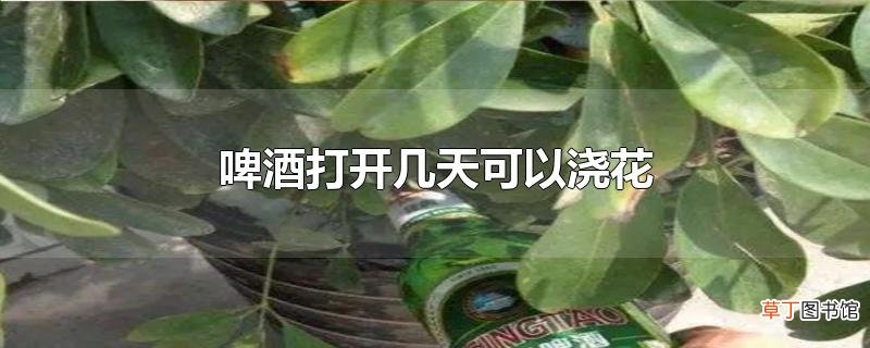 啤酒打开几天可以浇花