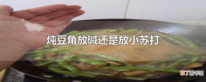 炖豆角放碱还是放小苏打