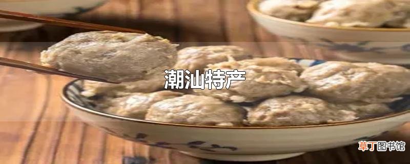 潮汕特产