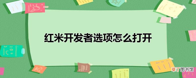 红米开发者选项怎样打开