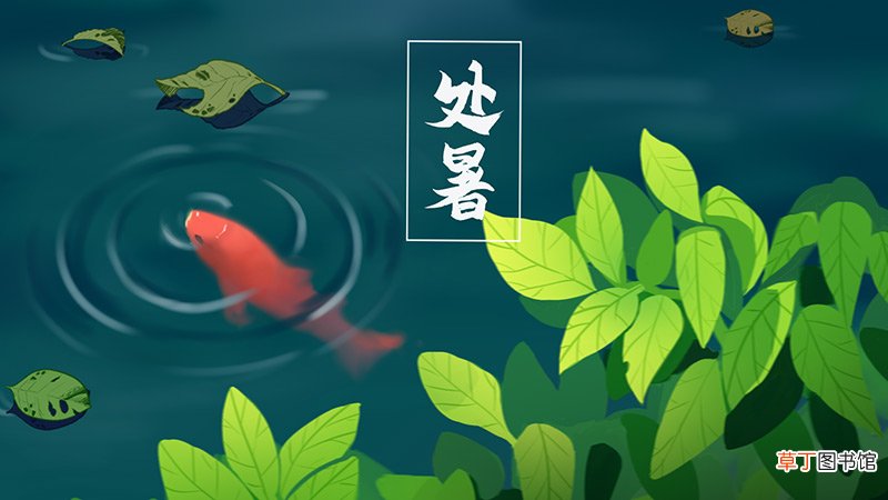 处暑意味着什么