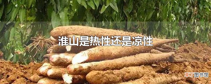 淮山是热性还是凉性