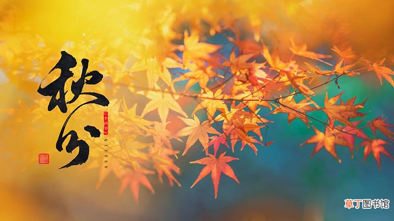 白露以后是什么节气
