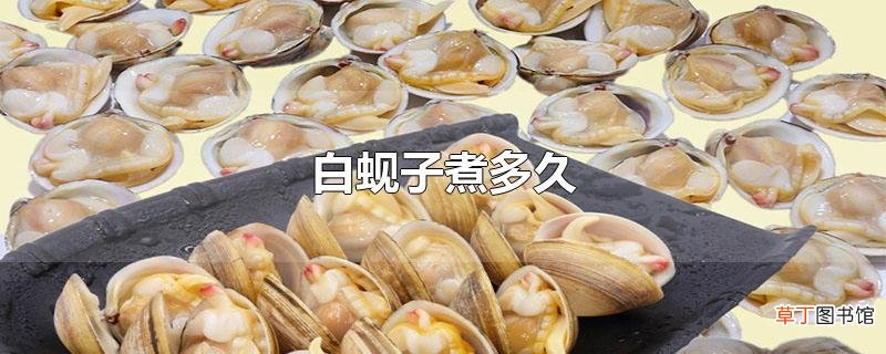 白蚬子煮多久