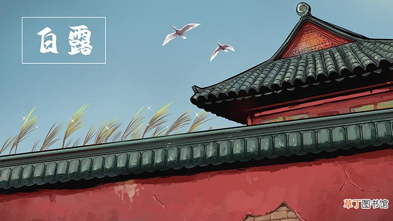 白露节气的注意事项