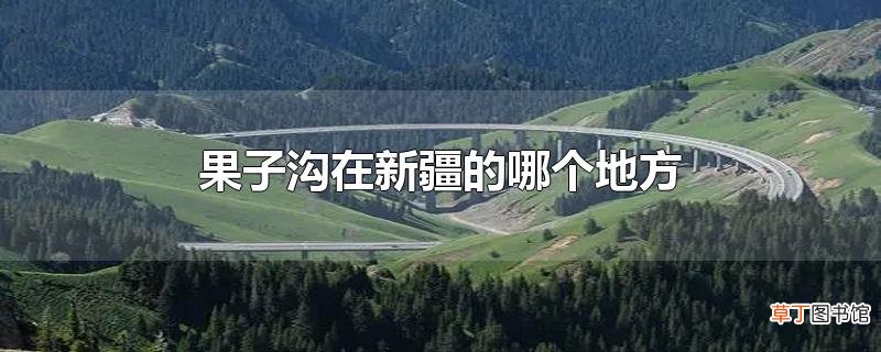 果子沟在新疆的哪个地方