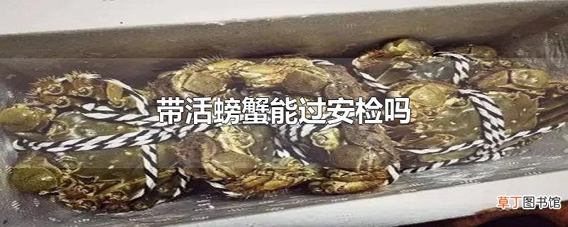 带活螃蟹能过安检吗
