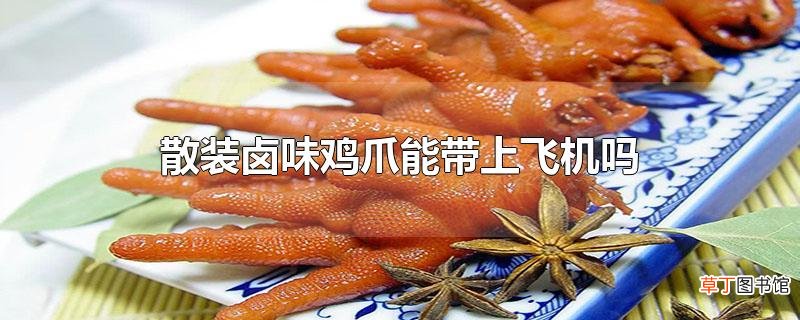 散装卤味鸡爪能带上飞机吗