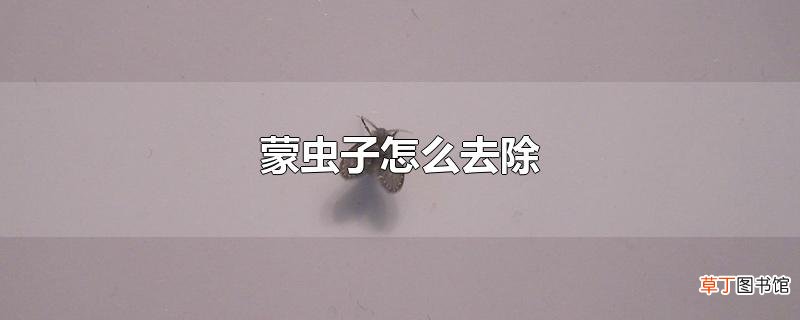 蒙虫子怎么去除