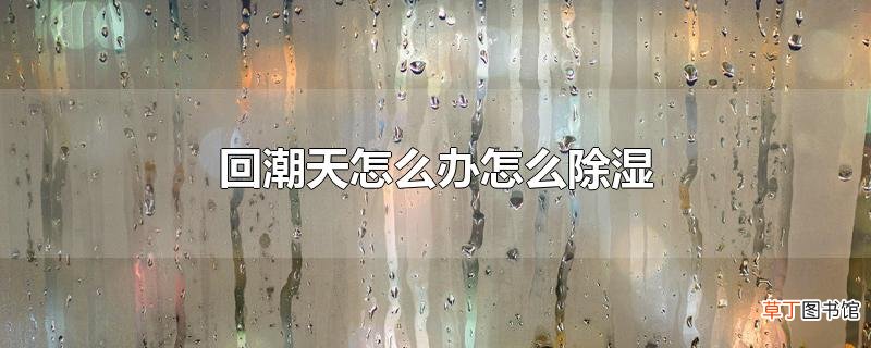 回潮天怎么办怎么除湿