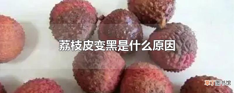 荔枝皮变黑是什么原因