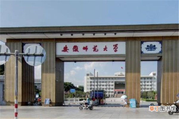 安徽师范大学是一本还是二本