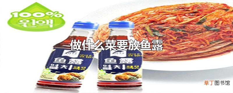 做什么菜要放鱼露