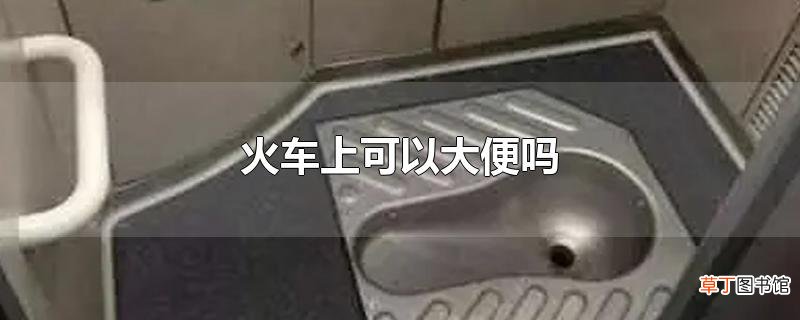 火车上可以大便吗
