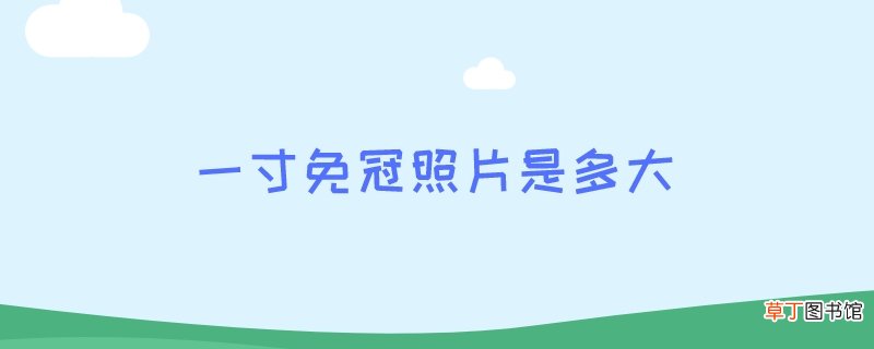 一寸免冠照片是多大