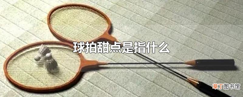 球拍甜点是指什么