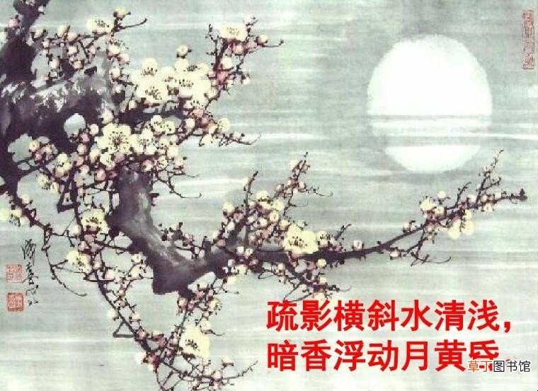 疏影横斜水清浅,暗香浮动月黄昏是什么意思