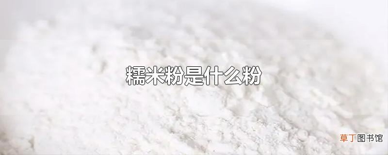 糯米粉是什么粉