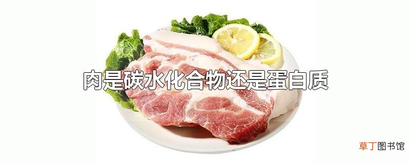 肉是碳水化合物还是蛋白质
