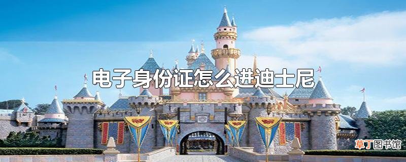 电子身份证怎么进迪士尼