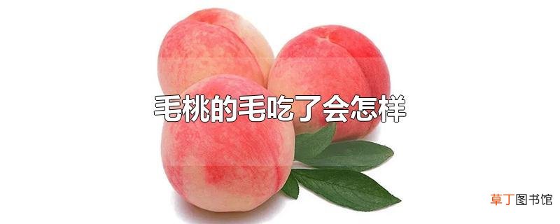 毛桃的毛吃了会怎样