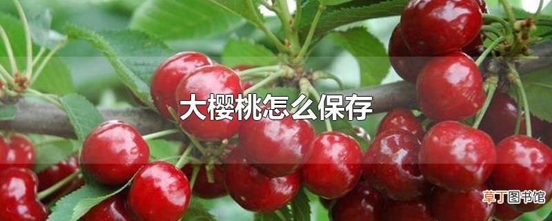 大樱桃怎么保存