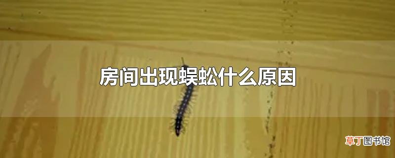 房间出现蜈蚣什么原因