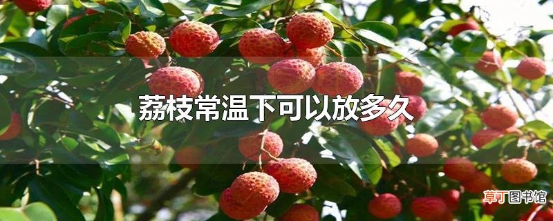 荔枝常温下可以放多久