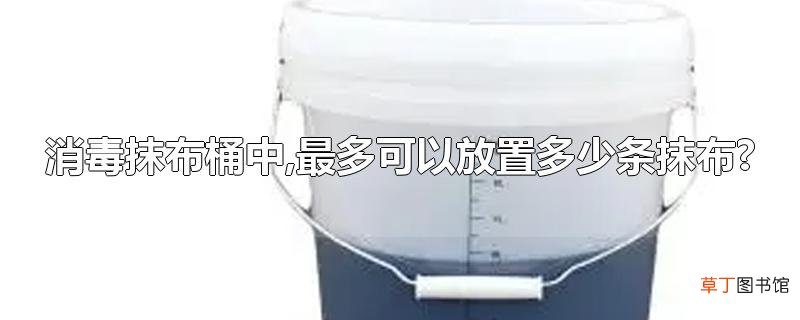 消毒抹布桶中,最多可以放置多少条抹布?