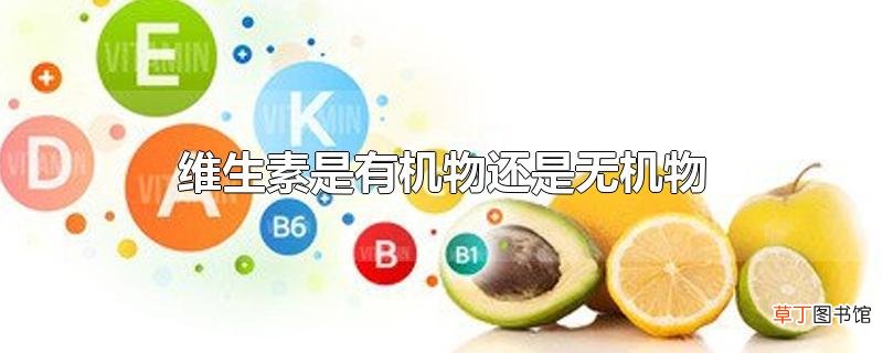 维生素是有机物还是无机物