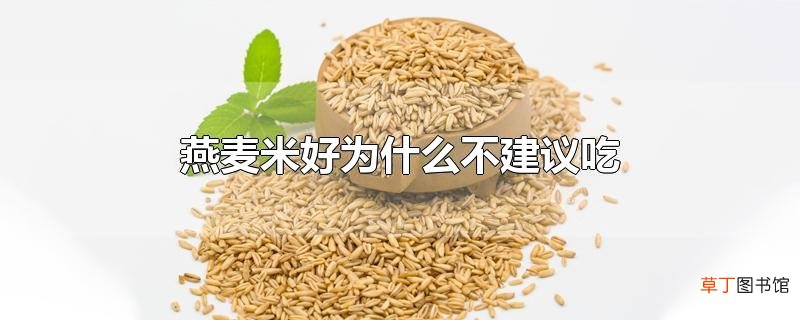 燕麦米好为什么不建议吃
