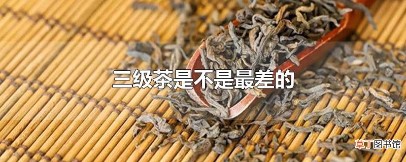 三级茶是不是最差的