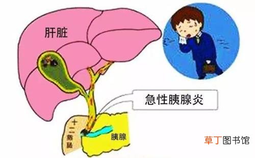 胰腺炎的饮食禁忌-胰腺炎的有什么禁忌