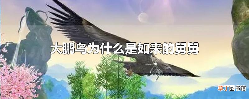 大鹏鸟为什么是如来的舅舅