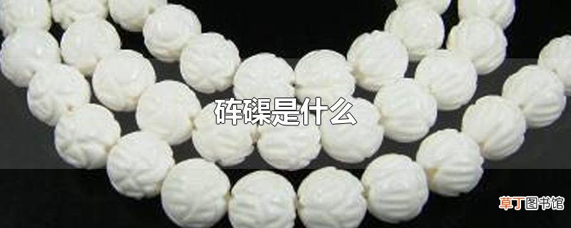 砗磲是什么