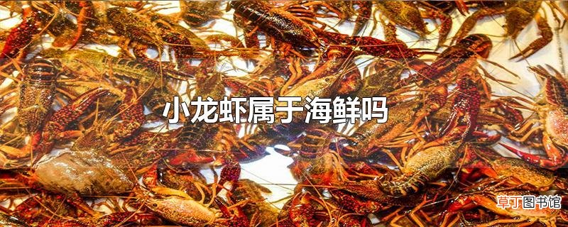小龙虾属于海鲜吗