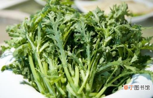 将炒青菜改为水煮青菜 烹调蔬菜也有小技巧