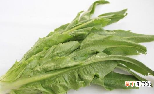 将炒青菜改为水煮青菜 烹调蔬菜也有小技巧