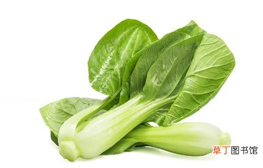 将炒青菜改为水煮青菜 烹调蔬菜也有小技巧