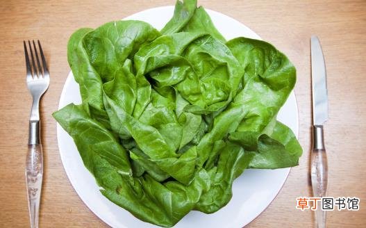将炒青菜改为水煮青菜 烹调蔬菜也有小技巧