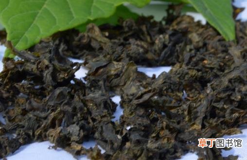 营养价值高的菜品新品种 地皮菜的好吃做法