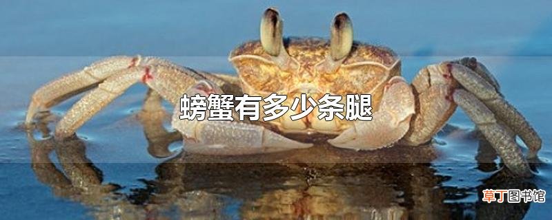 螃蟹有多少条腿