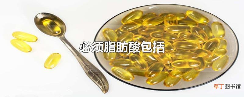 必须脂肪酸包括
