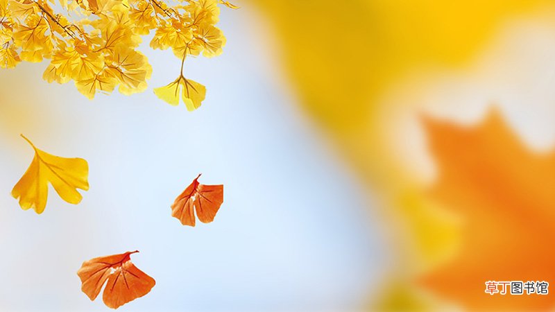 秋分是什么季节