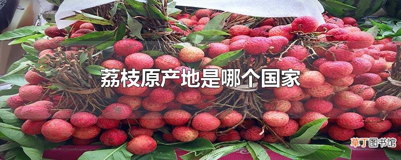 荔枝原产地是哪个国家