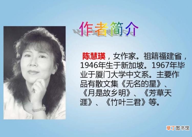 陈慧瑛简介是什么